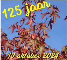 125 jaar 19 oktober 2024