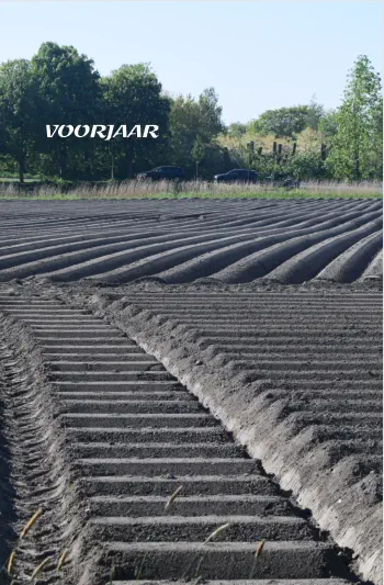VOORJAAR